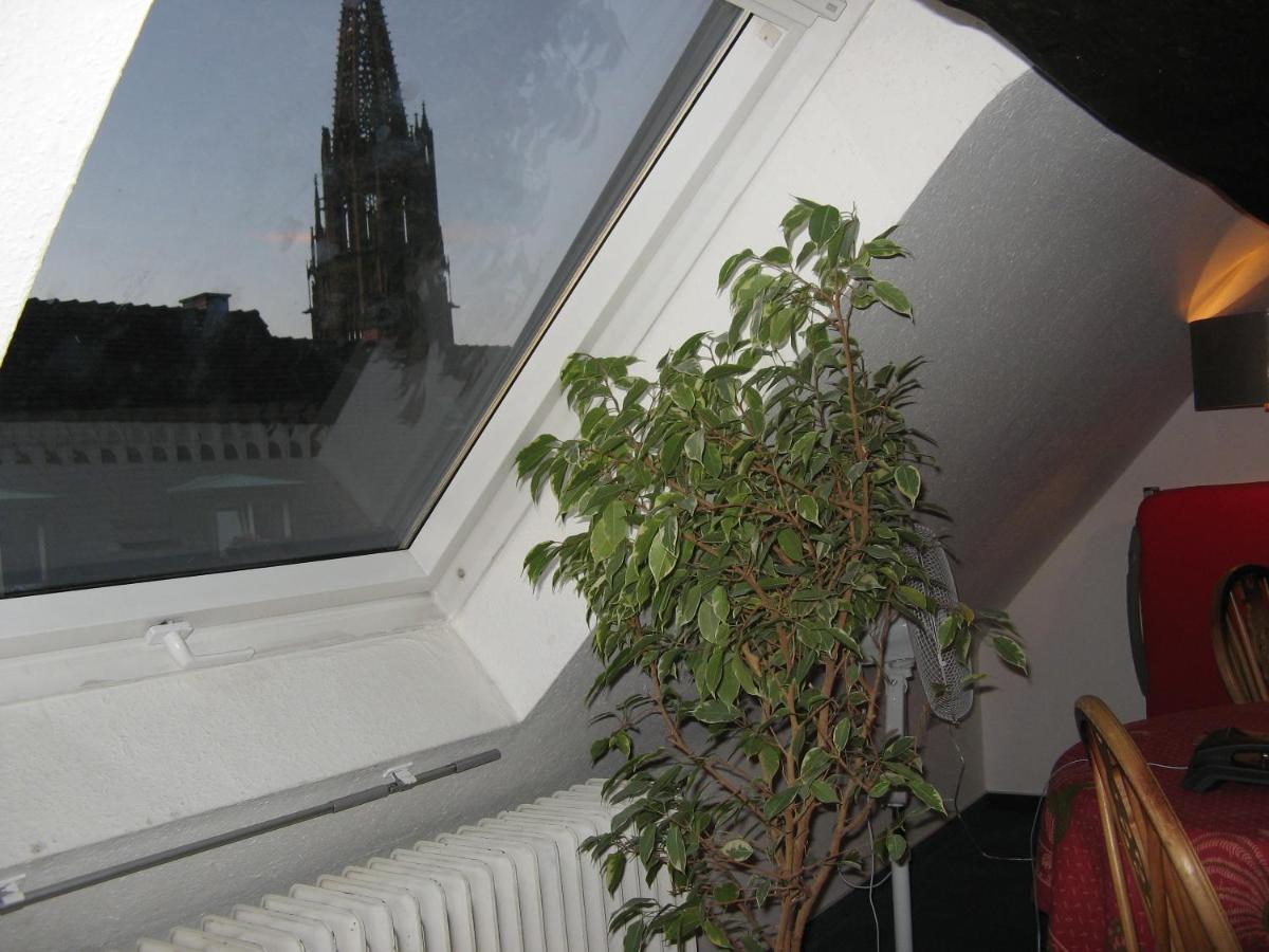 Gasthaus Loewen Freiburg im Breisgau Eksteriør billede